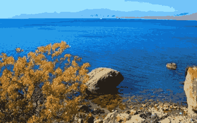 育儿之路：如何应对孩子的焦虑情绪